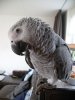 lovemygrey