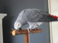 Annemoon Annemoon