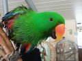 rupertje01