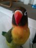 Nienkeee3
