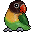 Elixdor