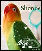shonoe
