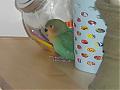 deniseweeda