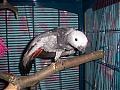Peppie01