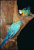 jolanda0110