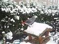Groetjes