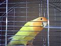 annemarie94