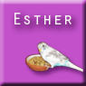 EstherV
