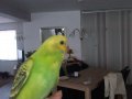 anitasneijders